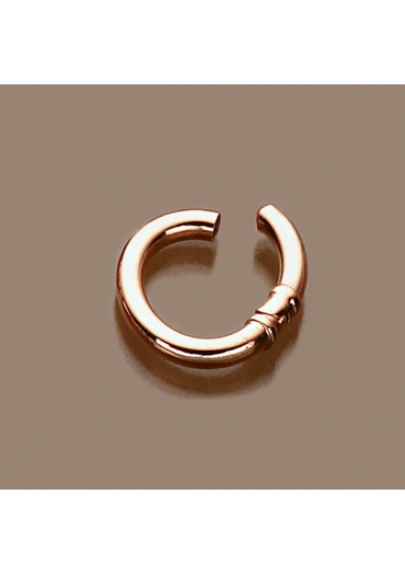 Chiusura ovaleA scatto rosè big﻿